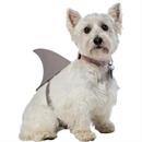 SHARK FIN DOG MED/LG