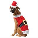 Pet Costumes