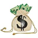 PURSE MONEY BAG