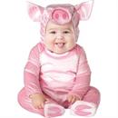 Infant Pig Costume
