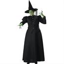 Witch 2Xl Costume