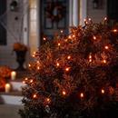 Orange Lights