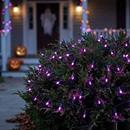 LED Light Set