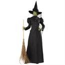 Witch Classic Deluxe Adult Costume
