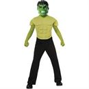 Boy's Incredible Hulk Costume Kit