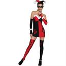 Women's Harley Quinn Costume