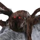 JUMPING SPIDER BROWN