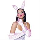 Women's Bunny Costume Kit