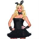 Costume Accessory Kits