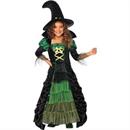 Girl's Storybook Witch Costume