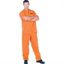 PUBLIC OFFENDER ADULT (42-44) Costume