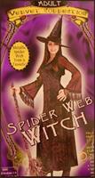 Spider Web Witch Costume