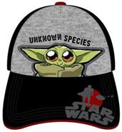 Star Wars The Mandalorian The Child Unknown Species Baseball Hat