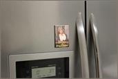The Golden Girls Dorothy Pray For Brains 2.5 x 3.5 Inch Magnet