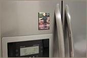 The Golden Girls Sophia Any Indication I Care 2.5 x 3.5 Inch Magnet