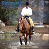 Breyer Traditional 1:9 Scale Model Horse | Checkers | Mountain Trail Champion