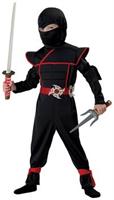 Ninja 