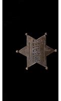 Sheriff Star Badge Costume Accessory