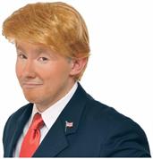 Mr. Billionaire (Donald Trump) Costume Wig Adult