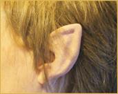 Cosplay Flexi Ears Costume Accessory Short Elf Flesh