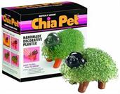 Animal & Bug Home & Office