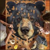 Animal & Bug Games & Toys