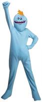 Rick and Morty Mr. Meeseeks Teen Costume