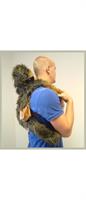 Chewbacca 