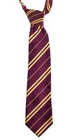 Harry Potter Costume Tie