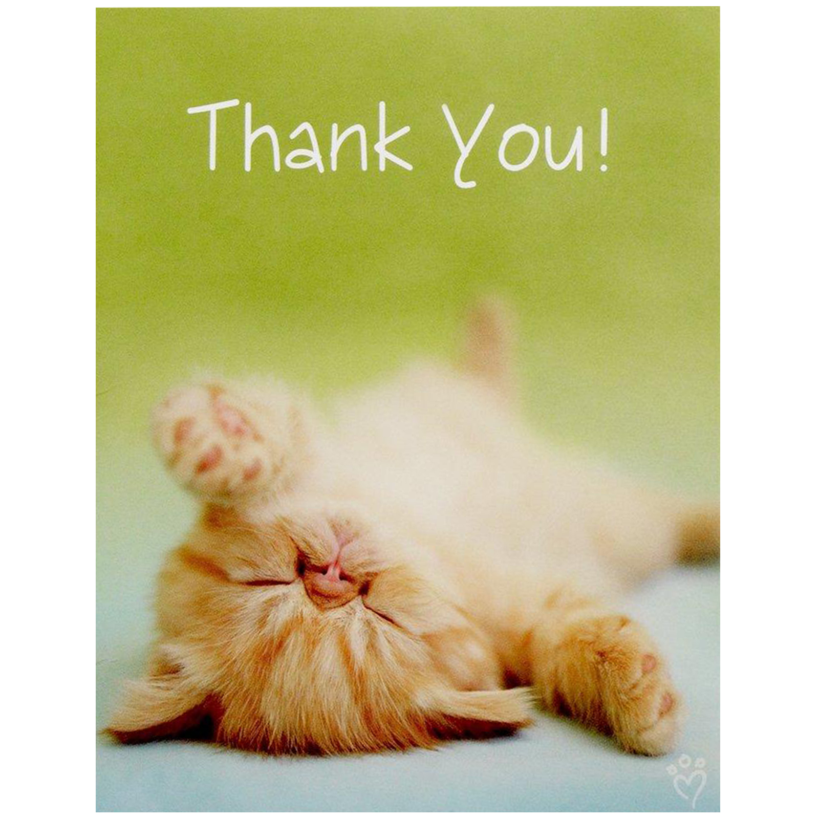 rachaelhale Glamour Cats Thank-You Notes - PartyBell.com1241 x 1596